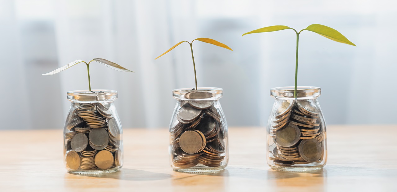 Plants growing in jar of coins.